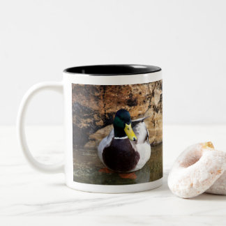 Male Mallard Duck Two-Tone Coffee Mug