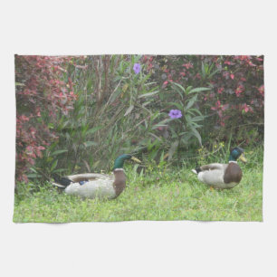 Male Mallard Ducks Kitchen Towels