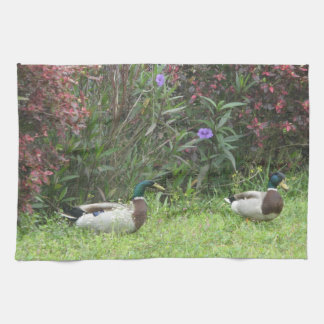Male Mallard Ducks Kitchen Towels