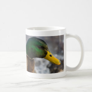 Male Mallard Portrait Coffee Mug