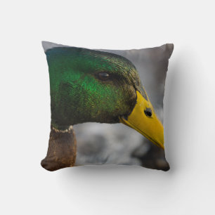 Male Mallard Portrait Cushion