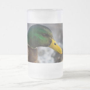 Male Mallard Portrait Frosted Glass Beer Mug