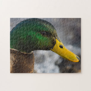 Male Mallard Portrait Jigsaw Puzzle