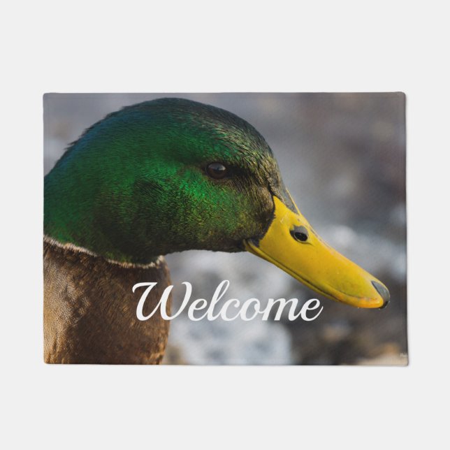 Male Mallard Portrait Welcome Doormat (Front)