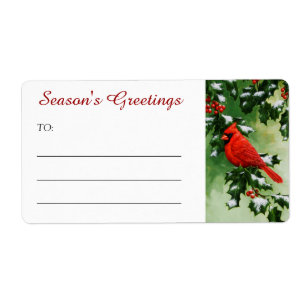 Male Northern Cardinal and Holly