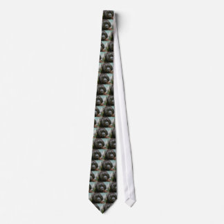 male orangutan tie