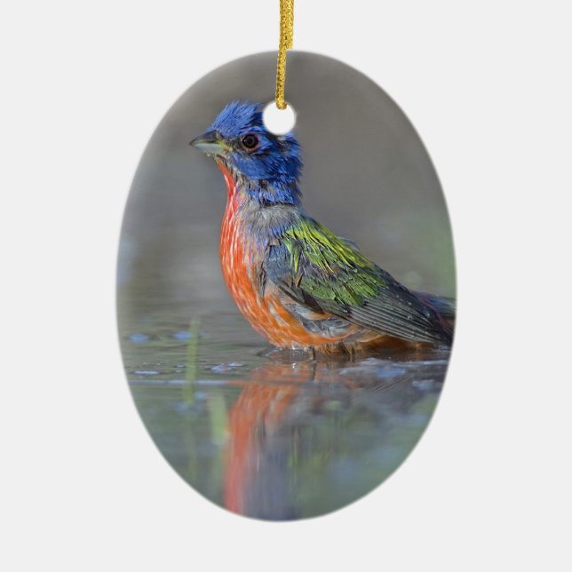 Male Painted Bunting Ceramic Tree Decoration (Front)