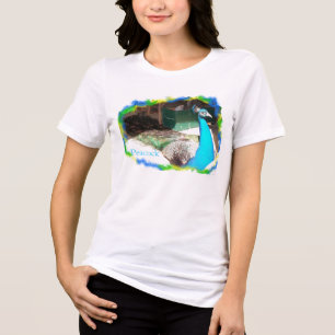 Male Peacock Sunbathing Tri-Blend Shirt