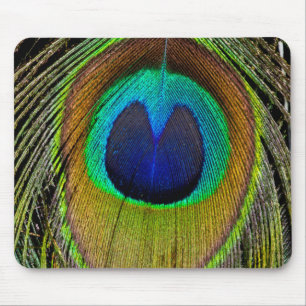 Male peacock tail feathers mouse mat