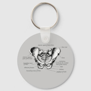 Male Pelvis Details Key Ring