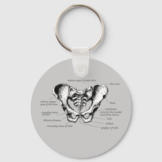 Male Pelvis Details Key Ring (Front)