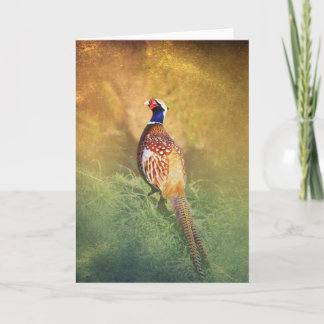 Male Pheasant Greetings Card