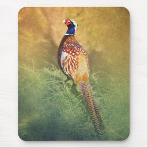 Male Pheasant Mouse Mat