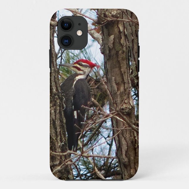Male Pileated Woodpecker Case-Mate iPhone Case (Back)