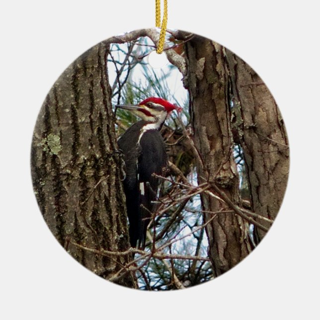 Male Pileated Woodpecker Ceramic Tree Decoration (Front)