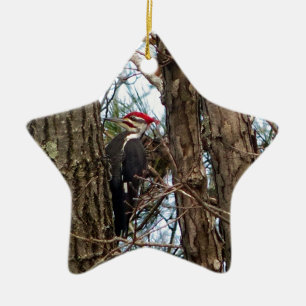 Male Pileated Woodpecker Ceramic Tree Decoration