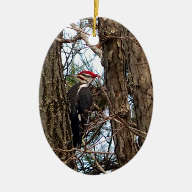 Male Pileated Woodpecker Ceramic Tree Decoration (Front)