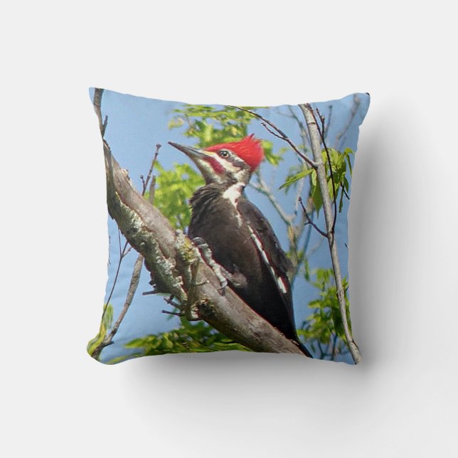 Male Pileated Woodpecker Cushion (Front)