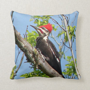 Male Pileated Woodpecker Cushion