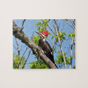 Male Pileated Woodpecker Jigsaw Puzzle