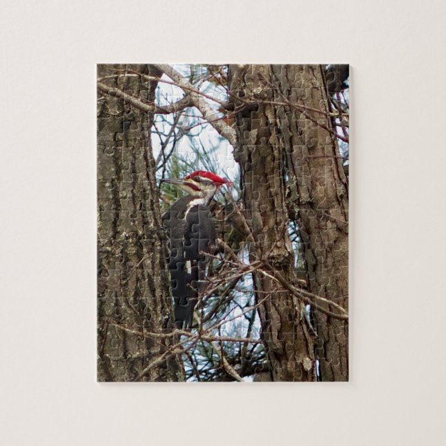 Male Pileated Woodpecker Jigsaw Puzzle (Vertical)