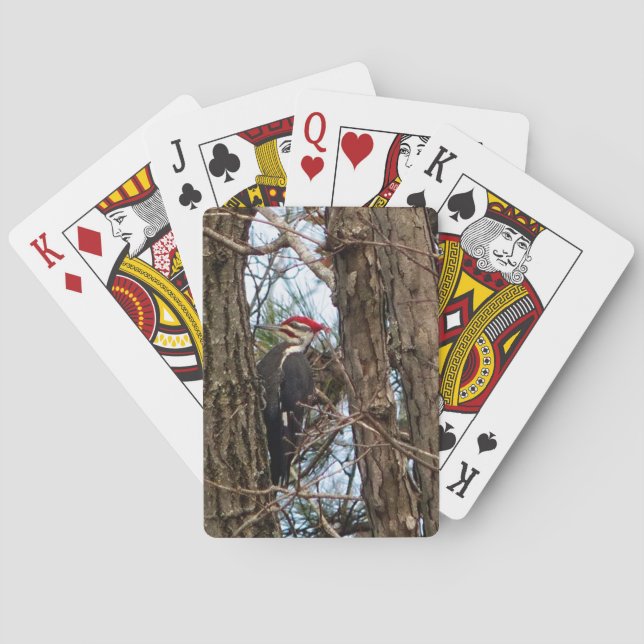 Male Pileated Woodpecker Playing Cards (Back)