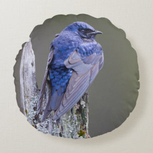 Male Purple Martin nest over Lake Sammamish Round Cushion