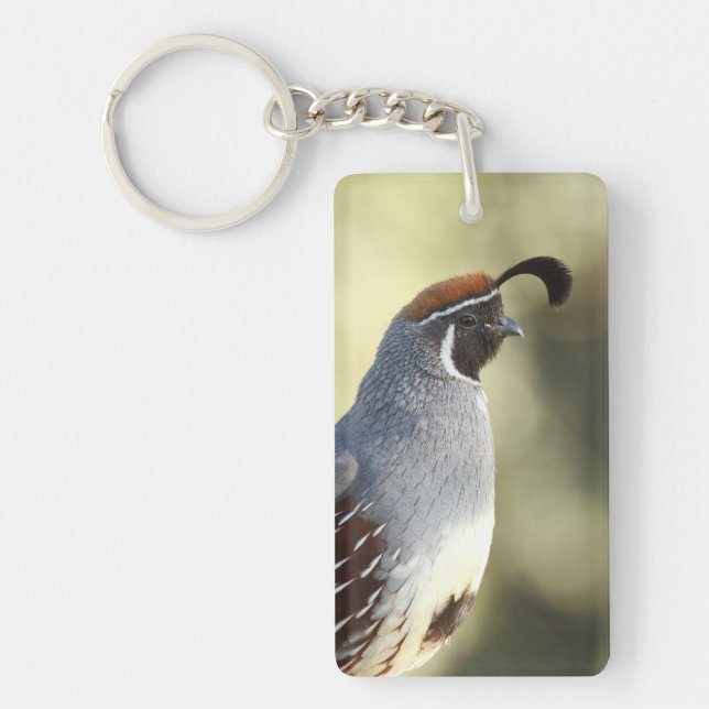Male Quail Key Ring (Front)