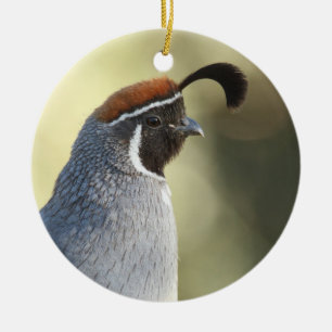 Male Quail Portrait Ceramic Tree Decoration
