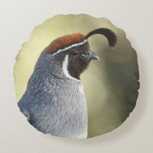 Male Quail Portrait Round Cushion
