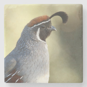 Male Quail Stone Coaster