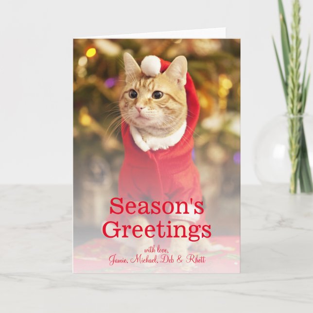 Male red cat wearing santa costume holiday card (Front)