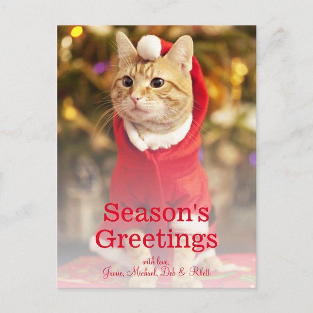 Male red cat wearing santa costume holiday postcard (Front)
