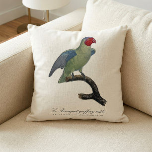 Male Red-Cheeked Parrot, Geoffroyus geoffroyi Cushion