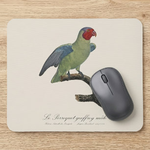 Male Red-Cheeked Parrot, Geoffroyus geoffroyi Mouse Mat