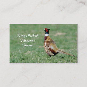 Male ring necked pheasant business card