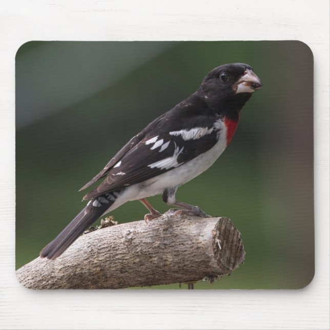 Male Rose-Breasted Grosbeak Mouse Mat (Front)