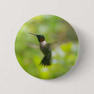 Male Ruby Throat Hummingbird Button
