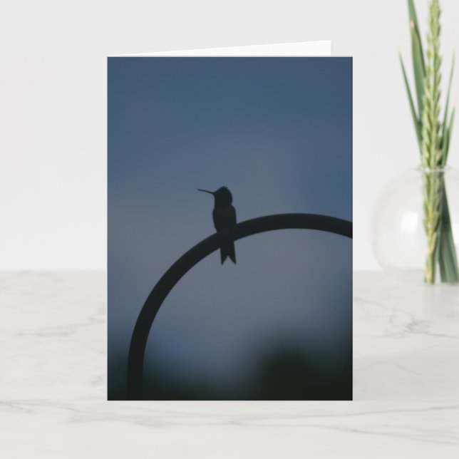 Male Ruby Throat Hummingbird Card (Front)