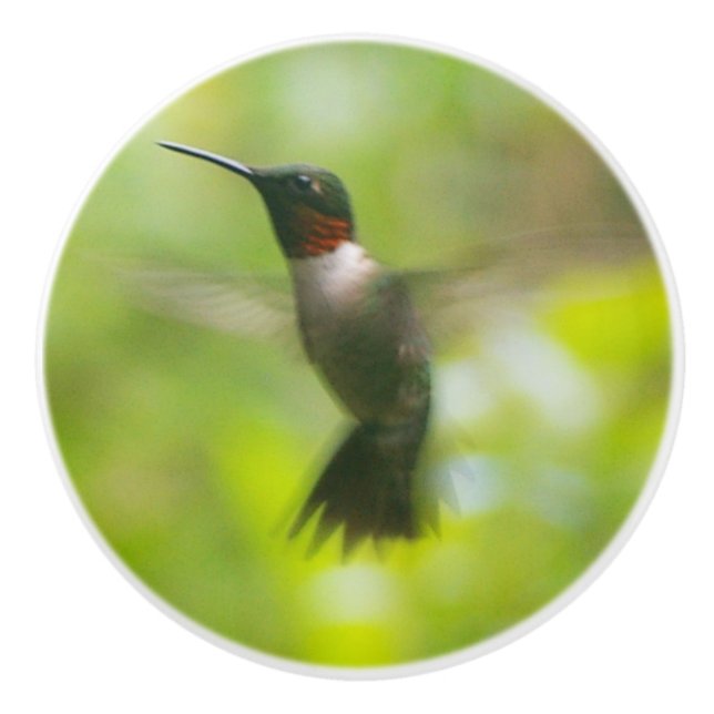 Male Ruby Throat Hummingbird Ceramic Knob (Front)
