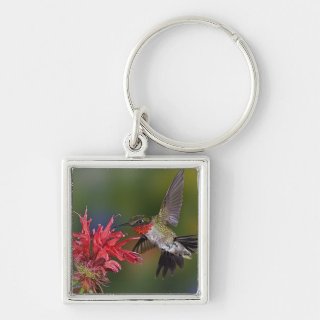 Male Ruby-throated Hummingbird Key Ring (Front)