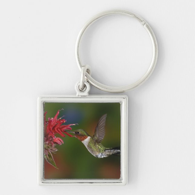 Male Ruby-throated Hummingbird Key Ring (Front)