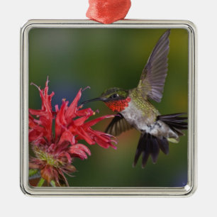 Male Ruby-throated Hummingbird Metal Tree Decoration