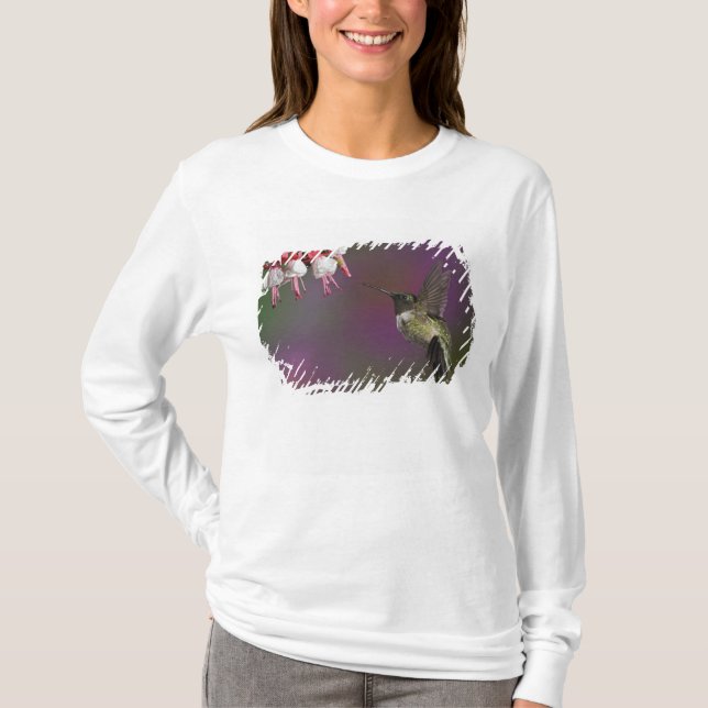 Male Ruby throated Hummingbird T-Shirt (Front)