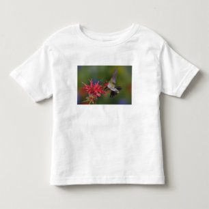 Male Ruby-throated Hummingbird Toddler T-Shirt