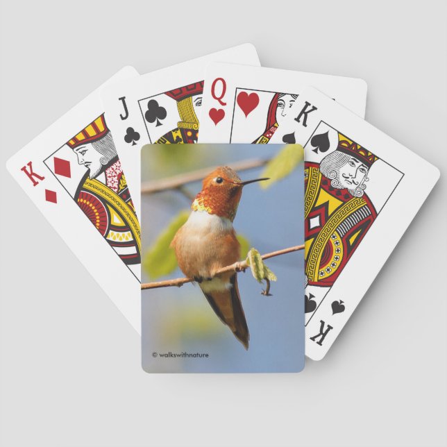 Male Rufous Hummingbird in the Summer Sun Playing Cards (Back)