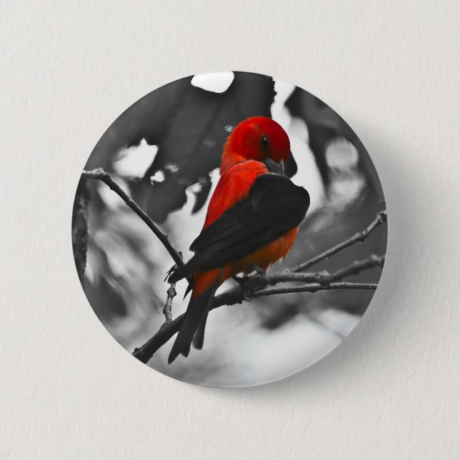 Male Scarlet Tanager 6 Cm Round Badge (Front)