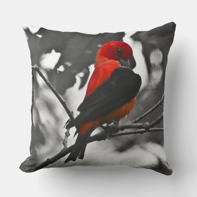 Male Scarlet Tanager Cushion (Front)