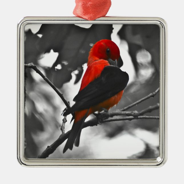 Male Scarlet Tanager Metal Tree Decoration (Front)