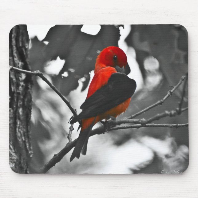 Male Scarlet Tanager Mouse Mat (Front)